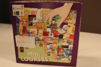 Mini courses