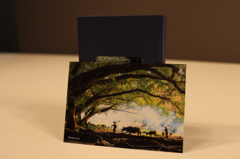 Photo-langage Transformations
